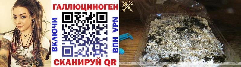 Псилоцибиновые грибы Psilocybe  Лихославль 